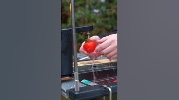 DometicGO Faucet Mount Connection for IGT