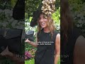 Incredible fashion The Big Ascot Food & Wine Festival 👜✨ | #Shorts