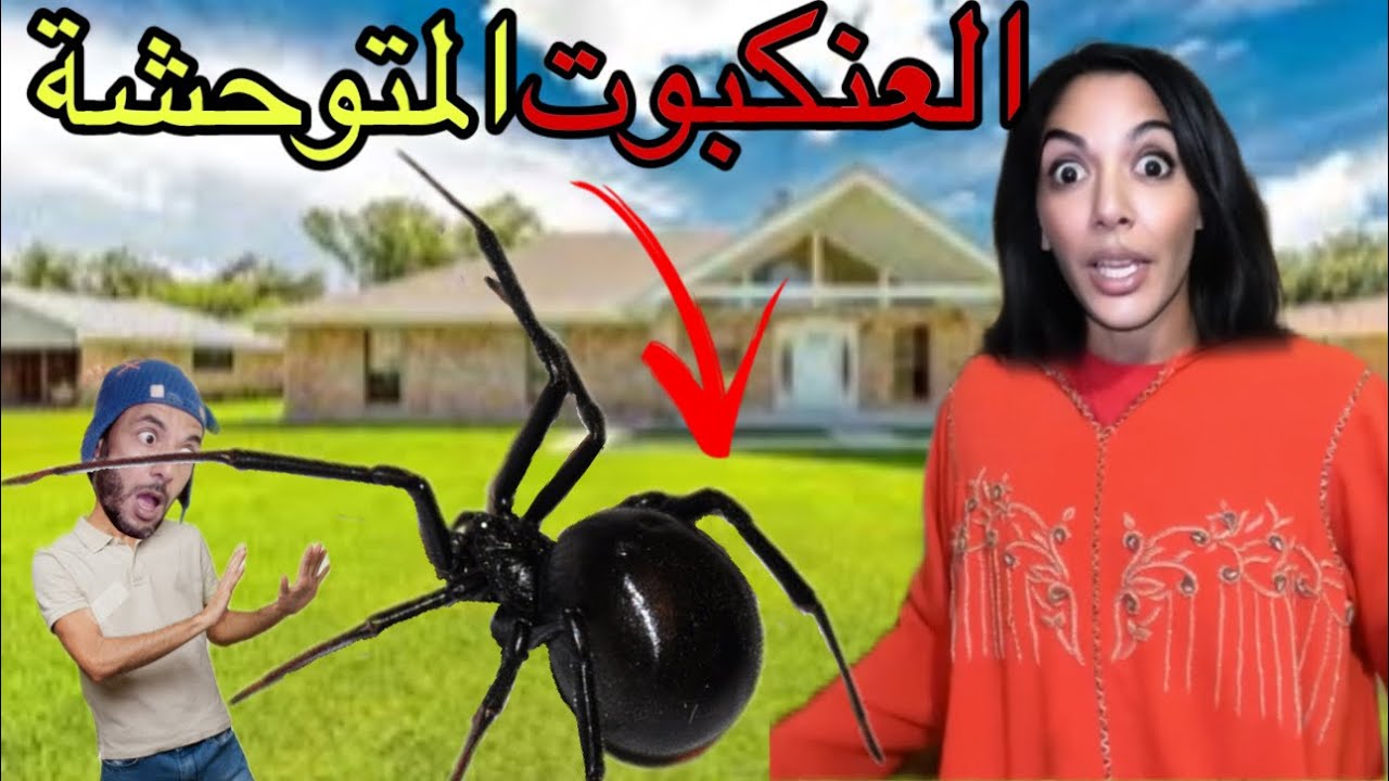 للاسف ‼️بسبب الجدة تحول الوليد إلى قزم 😱(فيدو كامل)