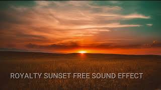 Sunset Audio Sound Effect Non Copyright Audio || Royalty Free Sound Effect