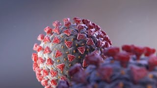 How Fast Is Omicron Spreading In Utah?