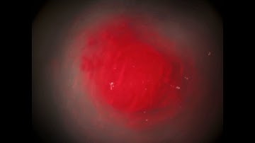 NGSS Phenomena #2  Difficulty Level Genius