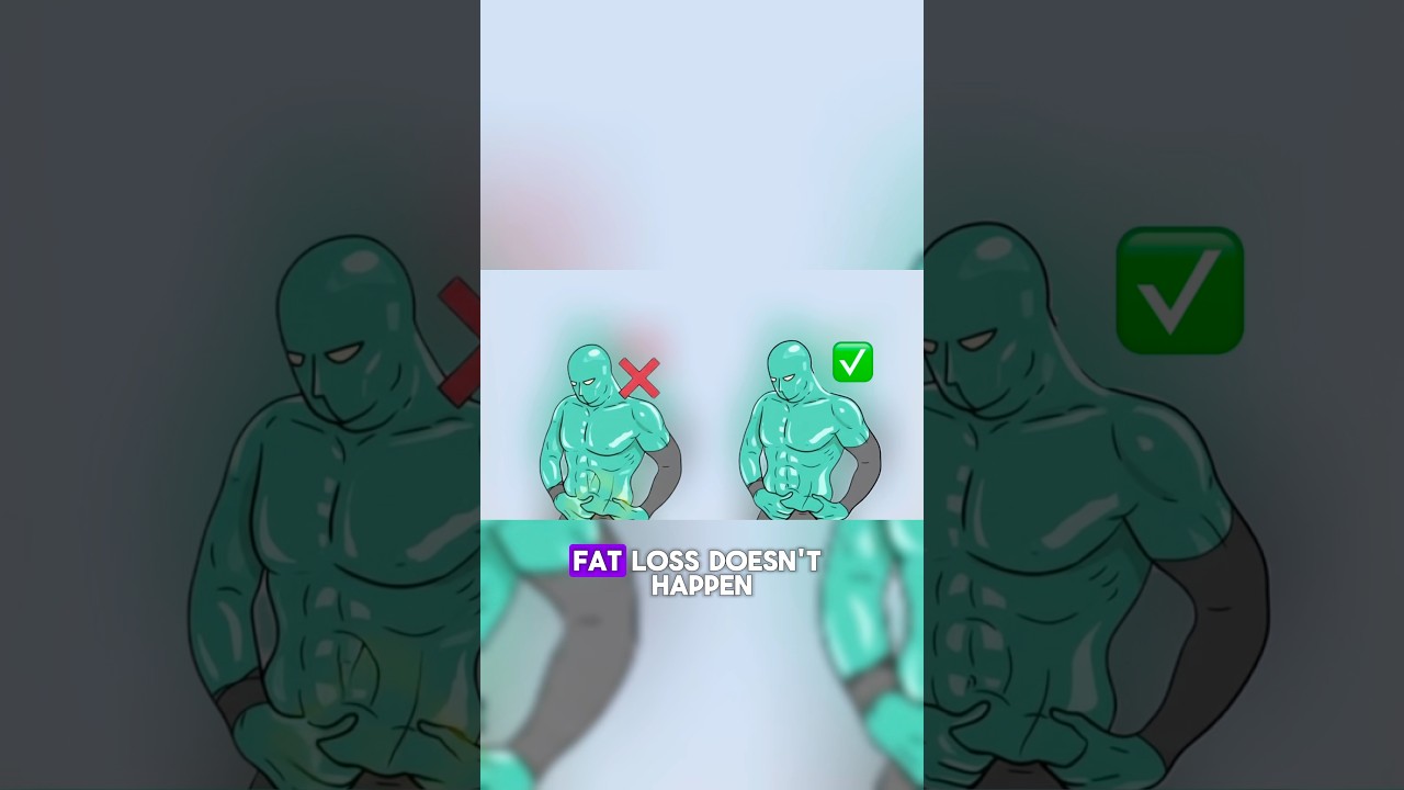 Why fat doesn’t butn i. The area you want | pt. 2
