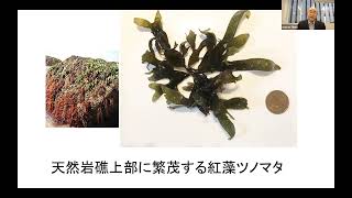 キリンサイからカラギーナンと海藻液肥 　大野正夫（高知大学）