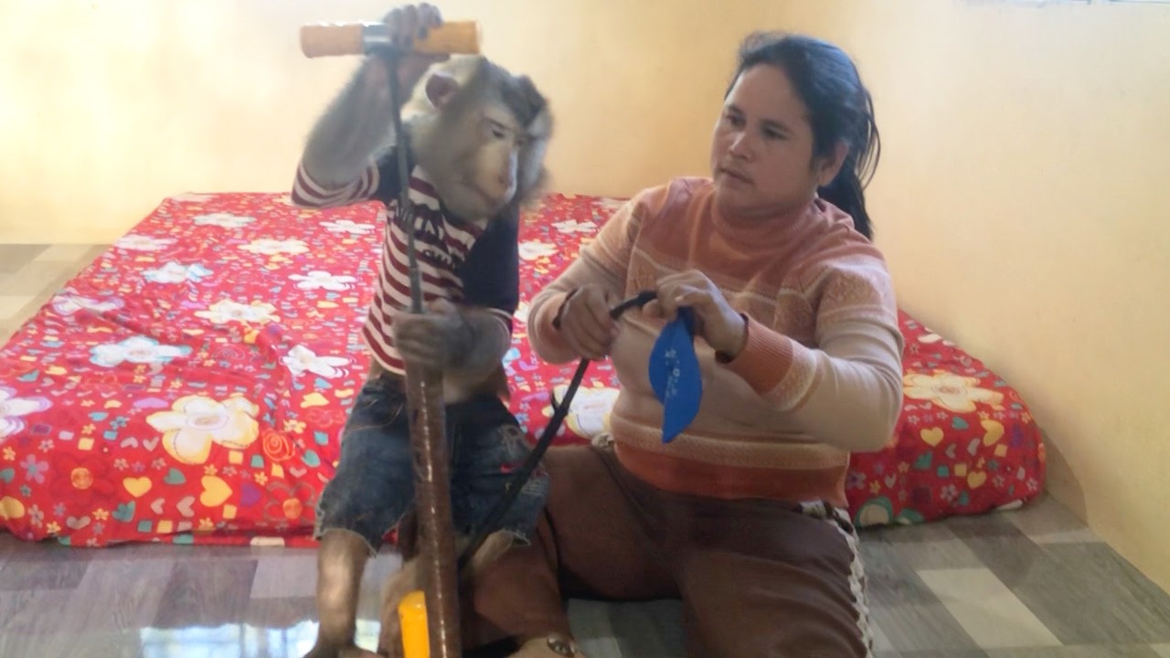 Handsome Jason Learn Pump Balloon Then He Happens To Do This Instead🙃