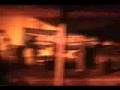 CHINA ROSE - SINGLE