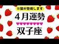 ４月の双子座、衝撃神回で震え止まんない。一年に一度あるかないかの大変化きます‼️2025年4月全体運勢♊️仕事恋愛対人評価や印象【個人鑑定級タロットヒーリング】