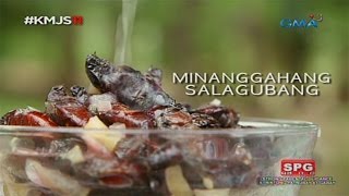 Kapuso Mo, Jessica Soho: Salagubang delicacy in Nueva Ecija