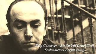 Edip Cansever - Bir Su Yılı Denebilirdi