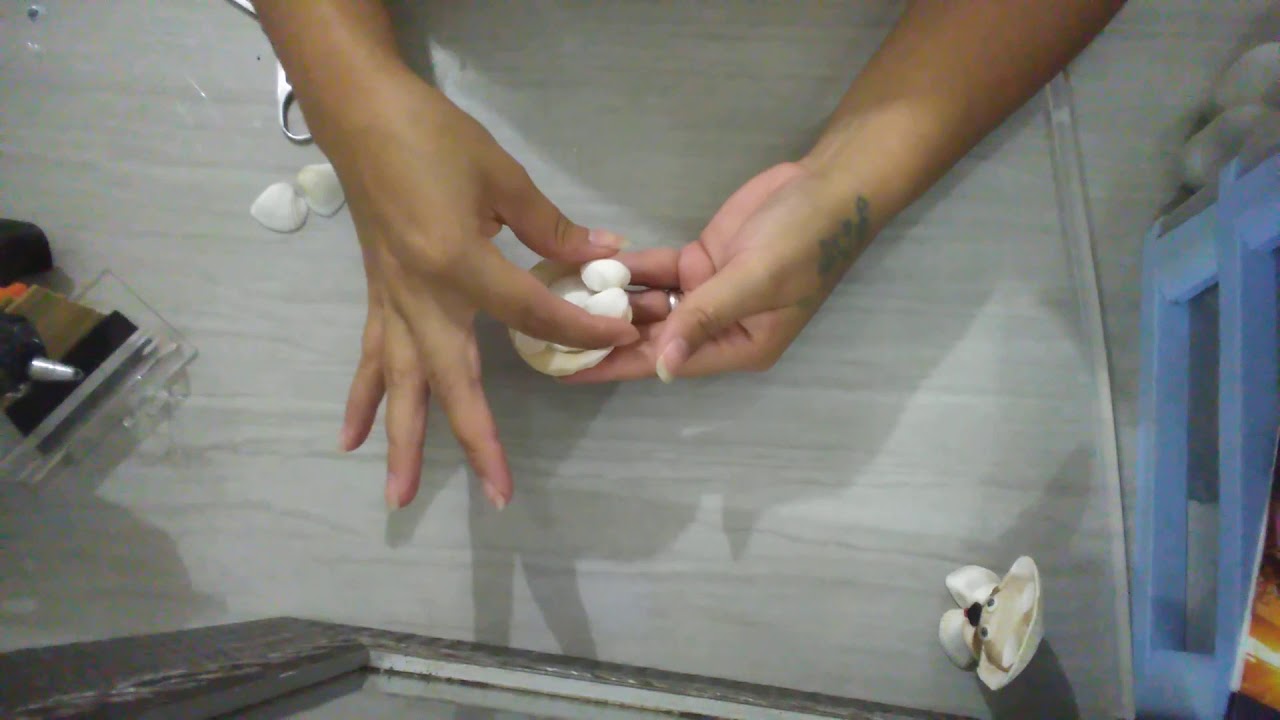 Como fazer leão de conchinha do mar