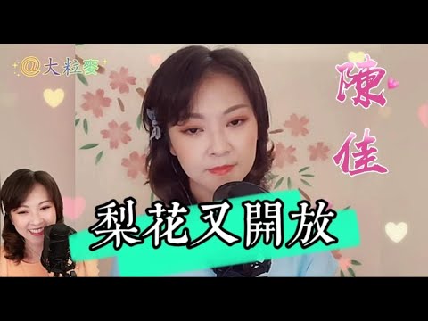 懷念故鄉之歌~陳佳主唱 《梨花又開放》卡拉ok 歌詞