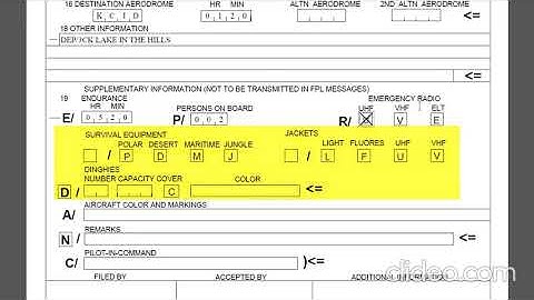 ICAO flight plan - ITEM 19