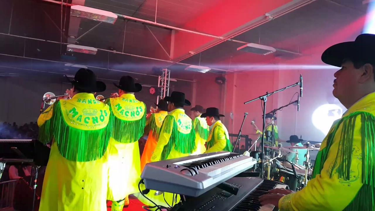 Banda Machos Raton Banda Machos