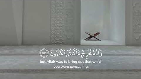 وإذ قتلتم نفسا فادارأتم فيها..(72) فقلنا اضربوه ببعضها كذلك يحي الله الموتى ويريكم آياته(73)