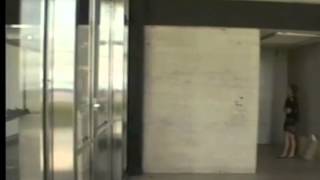 Mies 1951  Lake Shore Drive Apt