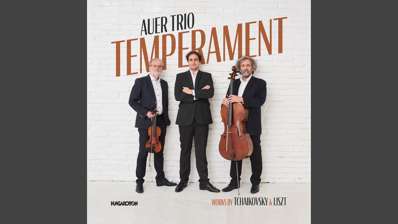 Hungarian Rhapsody No. 9 “Pesther Carnival” – for Piano, Violin, and Cello