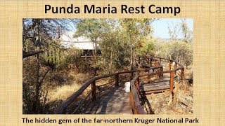 Punda Maria Rest Camp, Kruger National Park, South Africa.