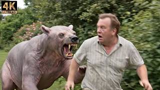 Download Lagu THEY LAUGHED AT THIS HAIRLESS BEAR... WAIT UNTIL YOU SEE WHAT HE DID! 😲🐻 MP3