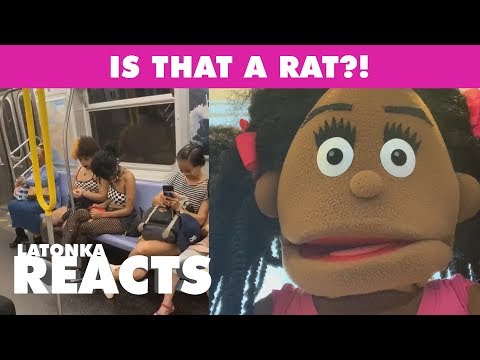 Is That A Rat?! - LaTonka Reacts
