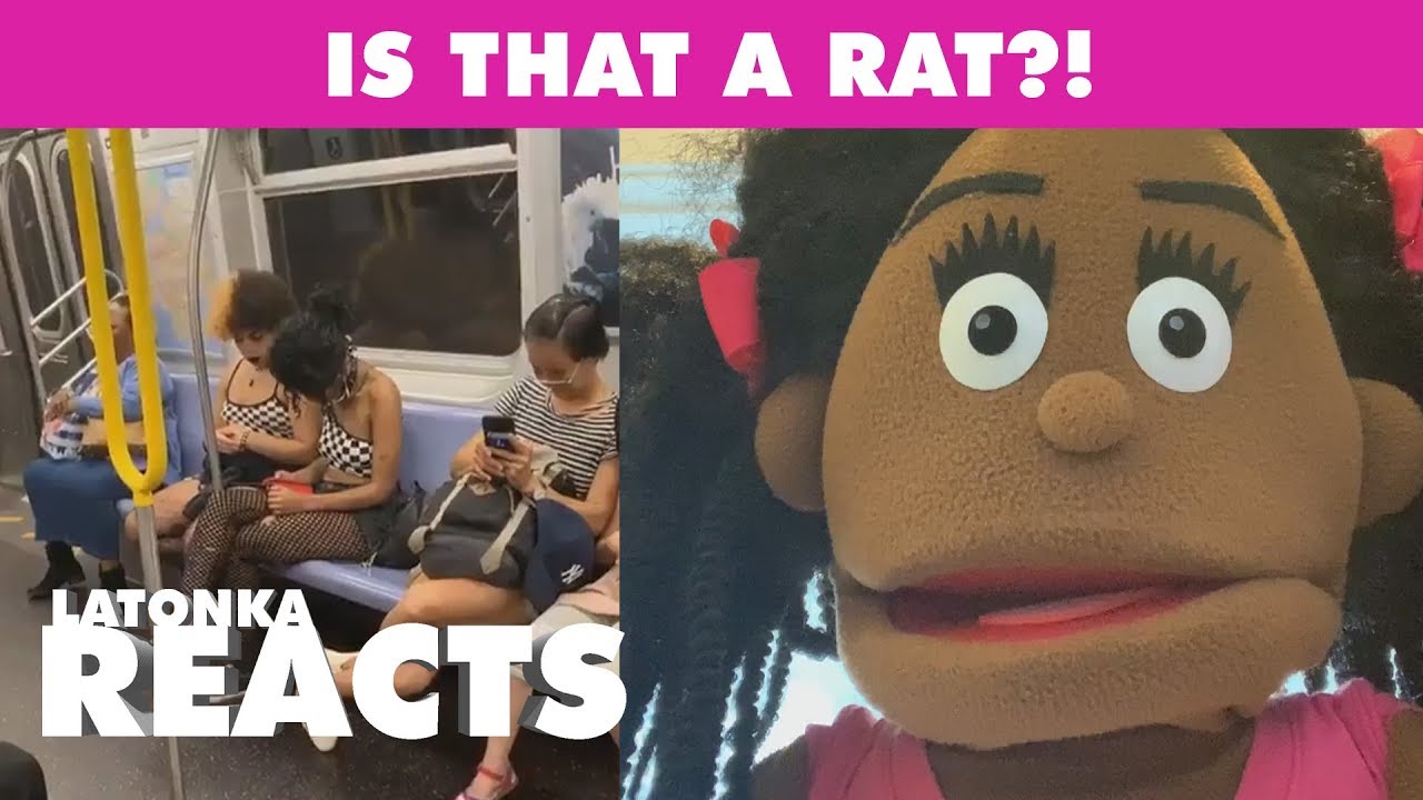 Is That A Rat?! - LaTonka Reacts