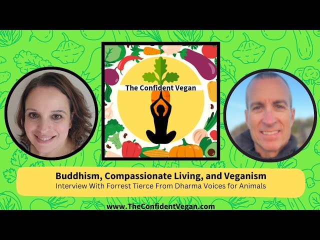Buddhism, Compassionate Living, and Veganism-Interview With Forrest Tierce From Dharma Voices for Animals