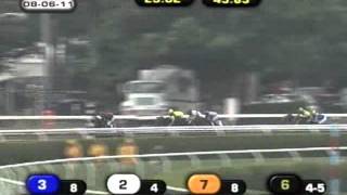 2011 Test Stakes