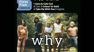 THE CATS - WHY