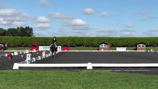 sheepgate N38 team test 2018