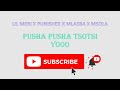 LIL MERI X PUNISHER X MLASBA X MSOLA - PUSHA PUSHA TSOTSI YOOO