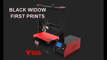 TEVO Black Widow V3 assembly - First prints