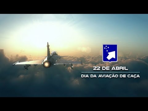 Dia da Aviação de Caça 2019