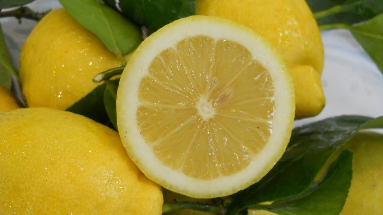 LIMONE INTERDONATO - COME TAGLIARE CORRETTAMENTE IL FRUTTO