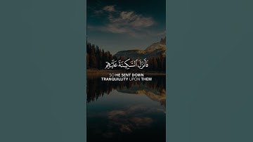 ناصر القطامي - سورة الفتح