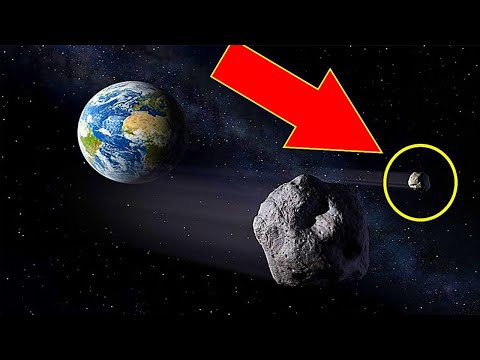Video: Der Mensch Erschien Auf Der Erde Wegen Eines Riesigen Asteroiden, Sagt Der Wissenschaftler - Alternative Ansicht