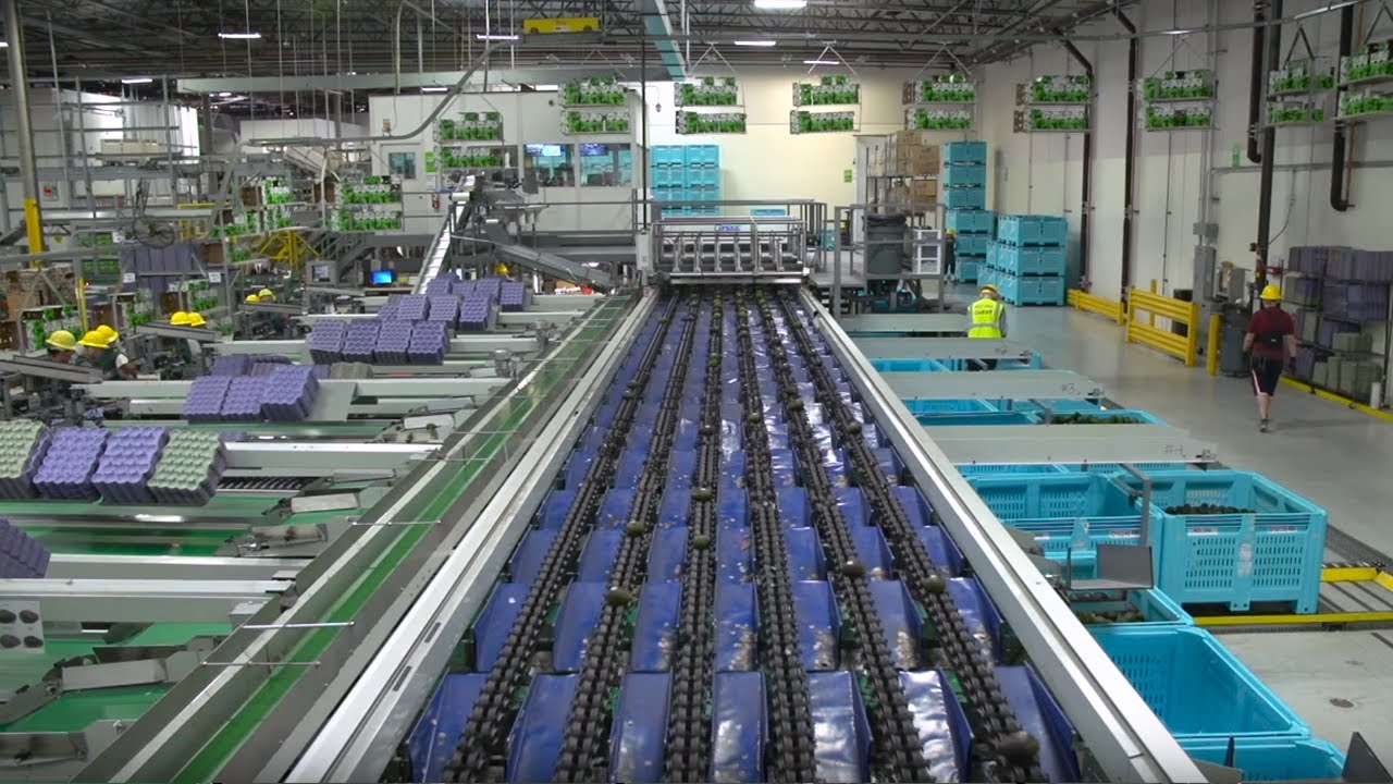 Modern Fruit Harvesting and Processing Technology That Are Amazing