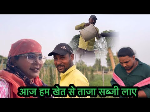 खेत से ताजा सब्जी तोड़ कर ले आए#viral #viralvideo @AartiJaunpuriyacomedy @Aartijaunpuriyavlog 