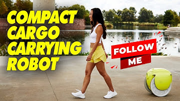 Gitamini - Compact Cargo-Carrying Robot