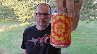 Anthem Brewing - Pineapple Mango Sour Ale Beer Review