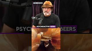 Mushroom Beer Ban of 1516? - Paul Stamets JRE #1035