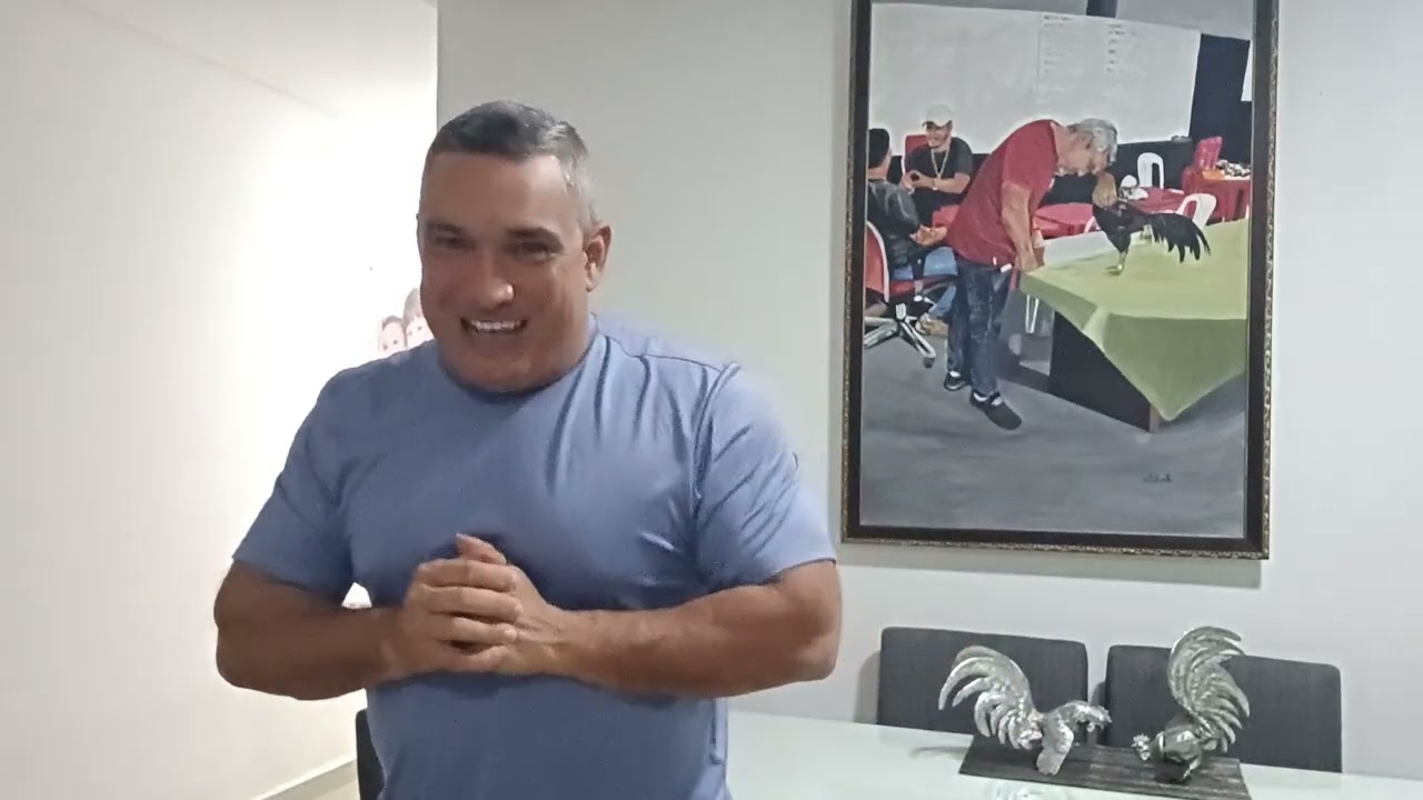 Os Melhores Galos de Dezembro 2024! Feliz ano novo pra todos nós ✌️