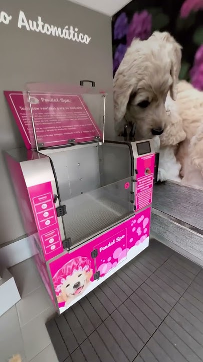 Прикол 😀 Автомойка для собак 🙃 #ЭдвардВейс #EdvardVeis #Испания # ...