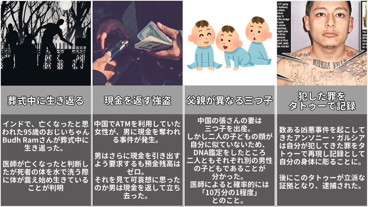 海外で起きたビックリする珍事件 Youtube