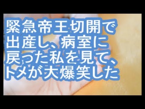 【カチムカ】緊急帝王切開で出産し、病室に戻った私を見て、トメが大爆笑した【ママ達の修羅場】