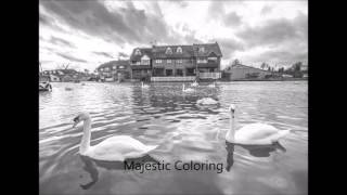 on the water vol 2 grayscale coloring book