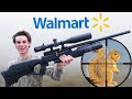 Hunting with walmarts most expensive air rifle