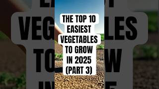 TOP 10 EASIEST VEGETABLE TO GROW  #Gardening #fyp #harvest #freshfood  #vegetablegarden #farmlife