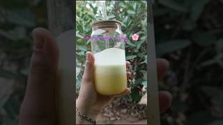 summer day 🌸 ll Daily life 🧬 ll #shorts #trending #viral
