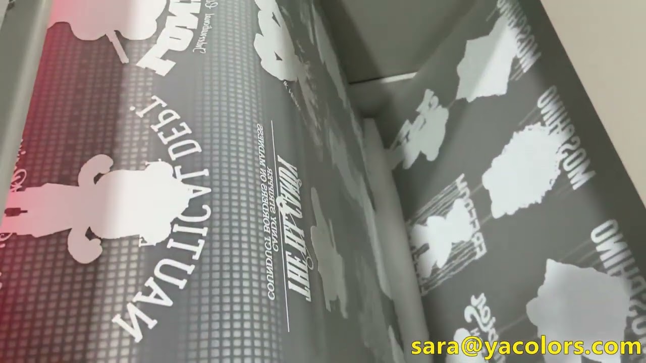 JN-702 60cm DTF Printer + BH2-8 Belt Powder Shaker