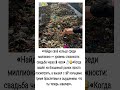 «Найди своё кольцо среди миллиона — уровень сложности: свадьба через 2 часа» 💍😂 #comedy #funny #fun