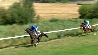 Vidéo de la course PMU PRIJS BLACKDOG